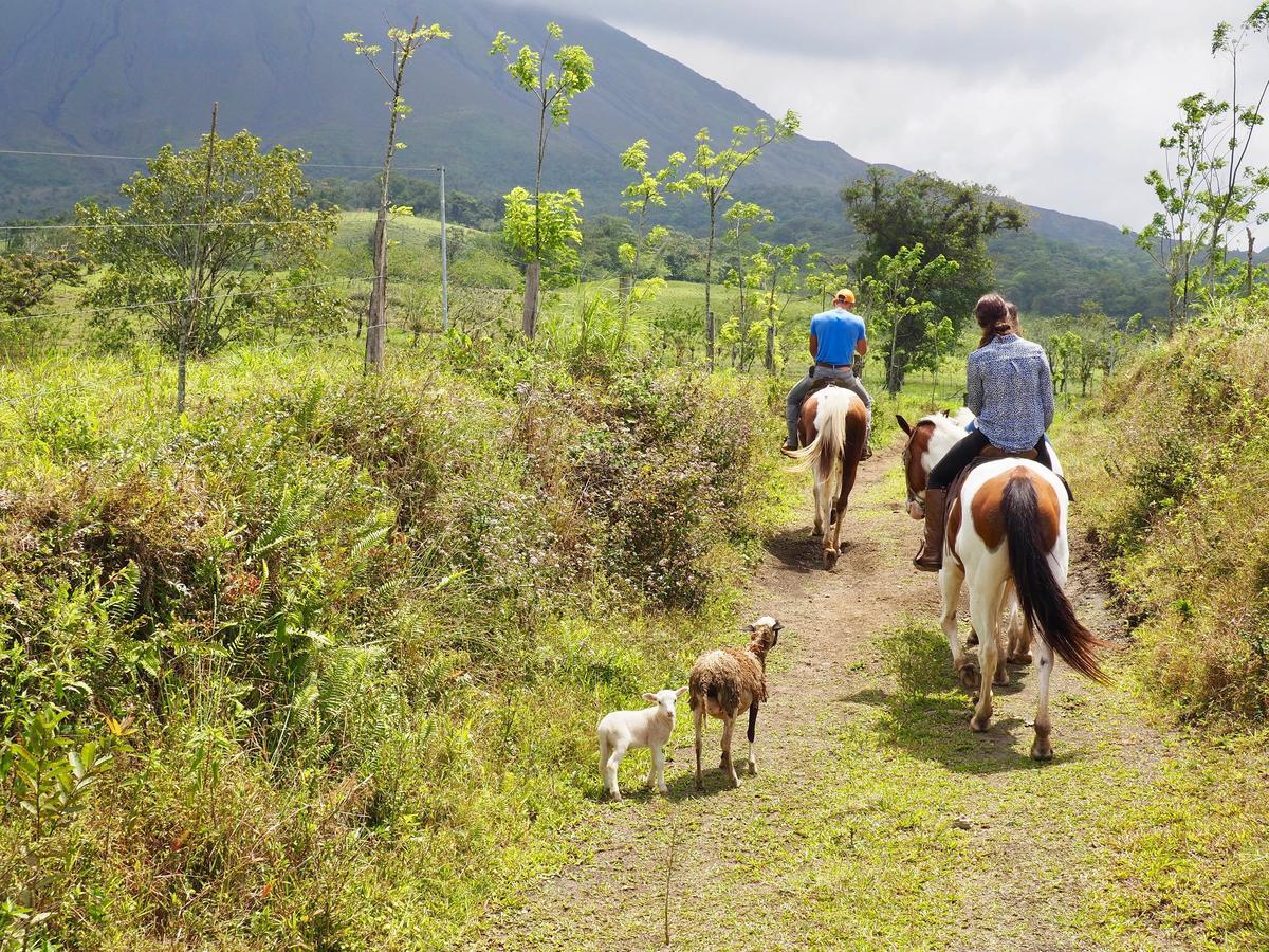 Arenal Paraiso & Thermo Mineral Hot Springs 3* La Fortuna